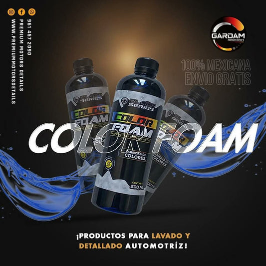 Shampoo Color Foam